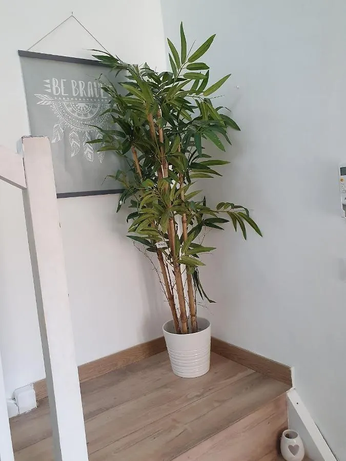 Lemon Tree - Vieux Port Marseille Apartment